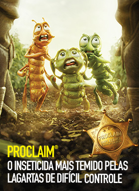 Proclaim Algodão