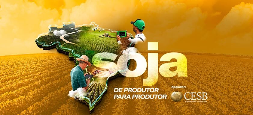 Ervas daninhas podem causar mais de 90% de perdas na lavoura