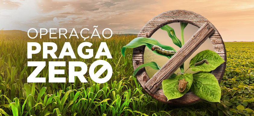 Operação Praga Zero leva conhecimento e tecnologia a produtores para proteger suas lavouras