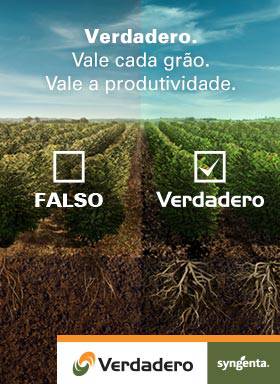 Verdadero