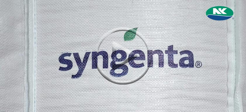 Syngenta inova com Projeto Big Bag sementes de milho NK