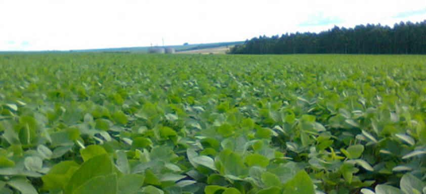Acessa Agro, plataforma de benefícios da Syngenta, se destaca durante o BelaSafra