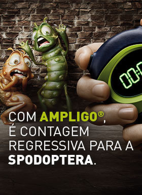 Banner do inseticida Ampligo