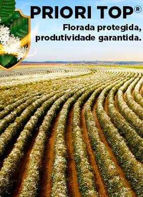 Banner do fungicida Priori Top