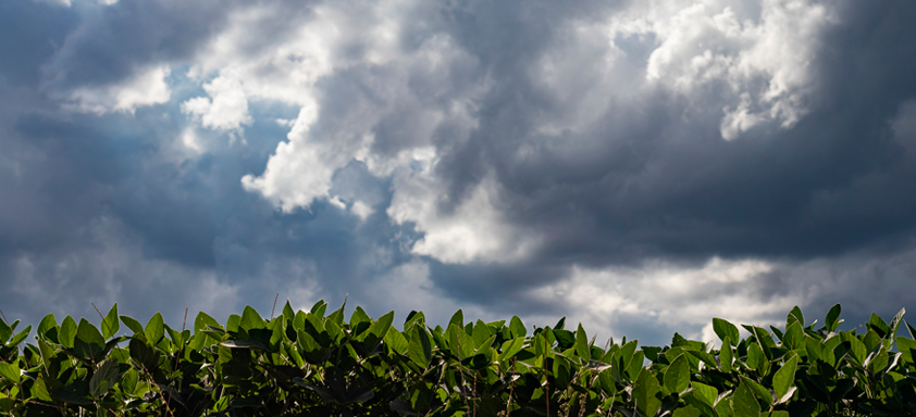 Clima