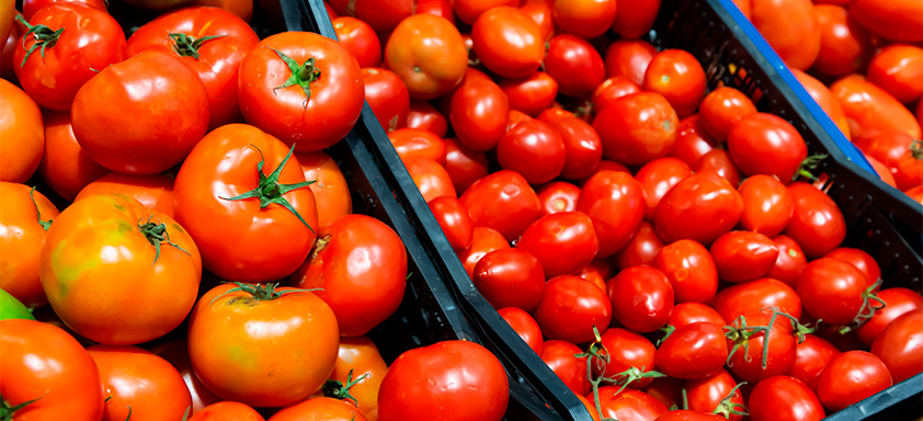 Tomate