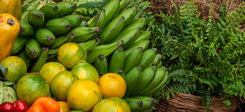 consumo de hortaliças e frutas para 2022