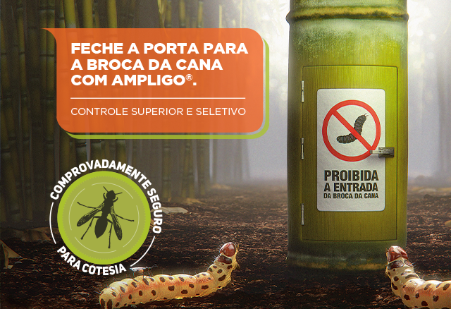 Feche a porta para a broca da cana com Ampligo.