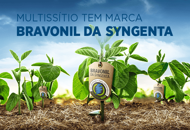 Fungicida multissítio Bravonil