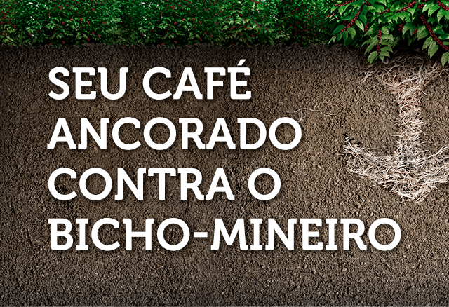 Durivo: controle de bicho-mineiro na cultura de café
