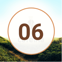 EP 6 Podcast Cafeina