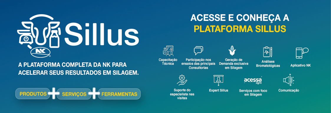 Acesse e conheça a plataforma Sillus