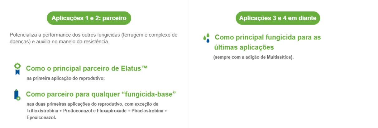Cypress: parceiro e principal fungicida