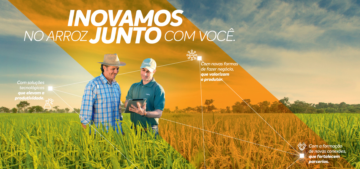 Syngenta e você conectados à produtividade do arroz