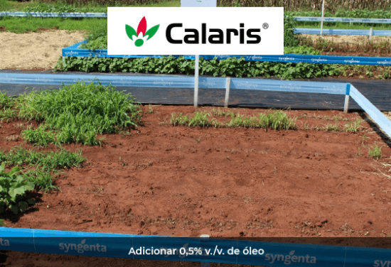 Teste comprova eficácia de Calaris no controle de daninhas