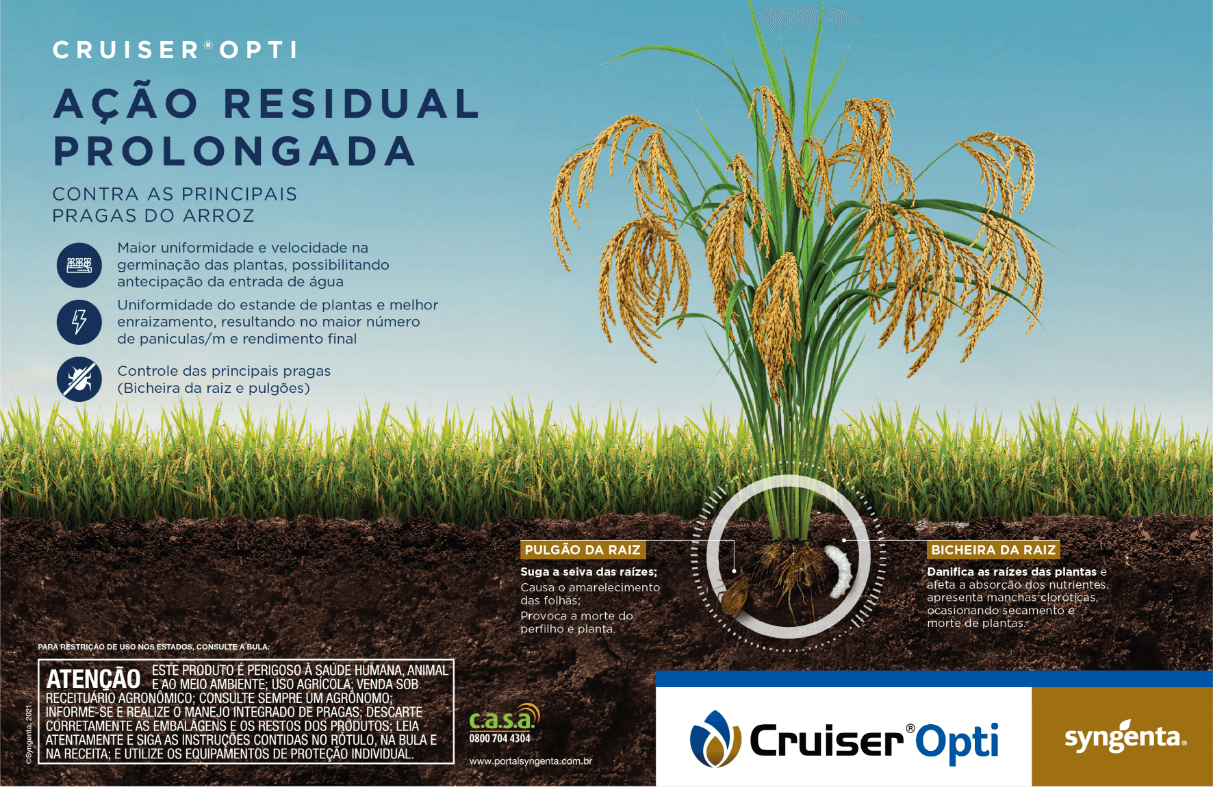 Ação residual prolongada contra pragas do arroz