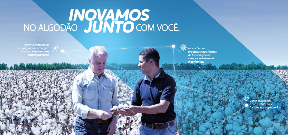 Produtividade do Algodão