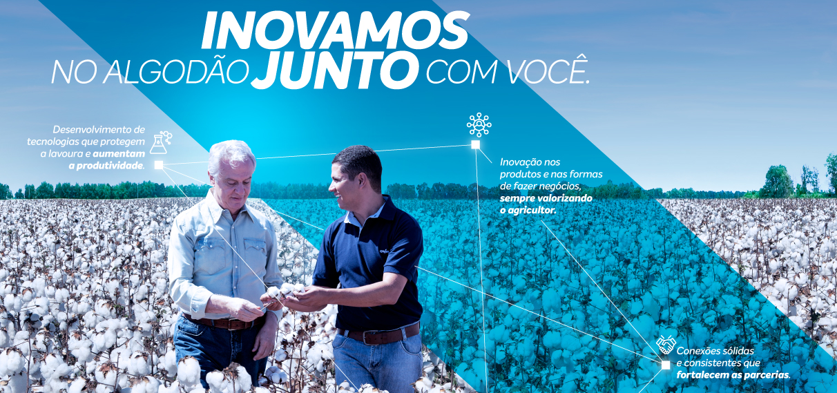 Produtividade do Algodão