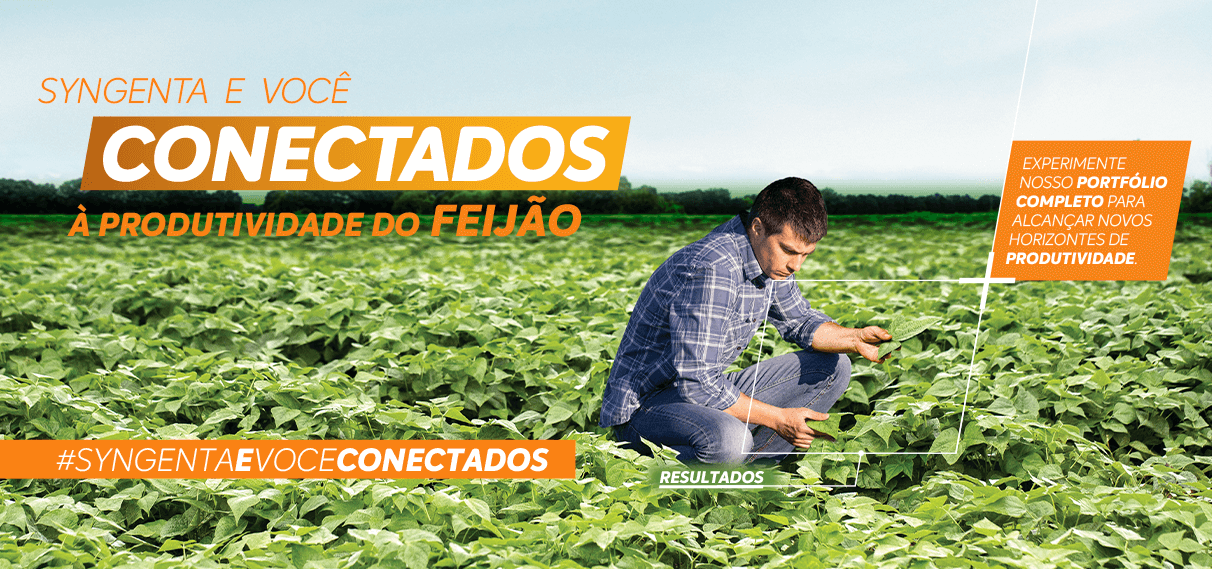 Syngenta e você conectados à produtividade do feijão.