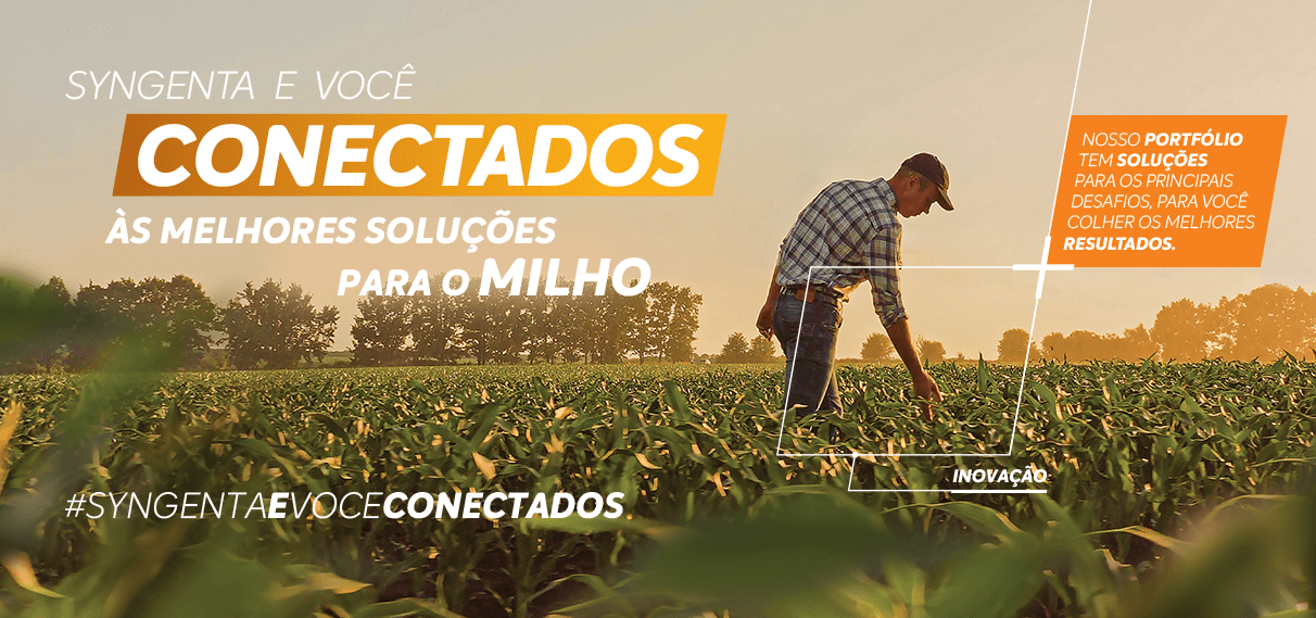 Syngenta e você conectados às melhores soluções para o milho.