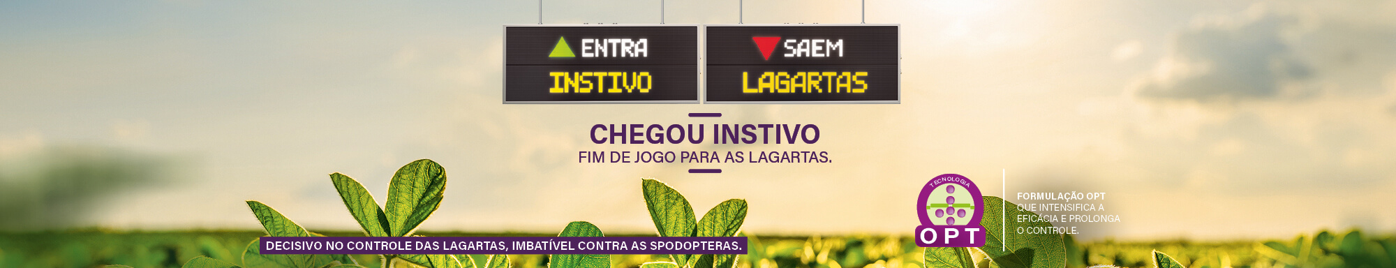 Instivo. Eficácia contra as lagartas. Imbatível contra as Spodopteras
