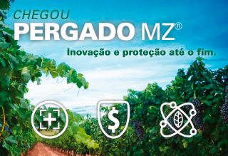 Ridomil Gold WG - Diagnóstico: As doenças em hortifrúti podem impactar toda a cadeia produtiva.