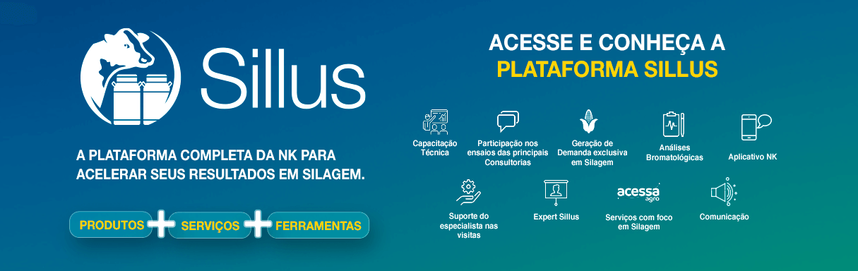 Acesse e conheça a plataforma Sillus
