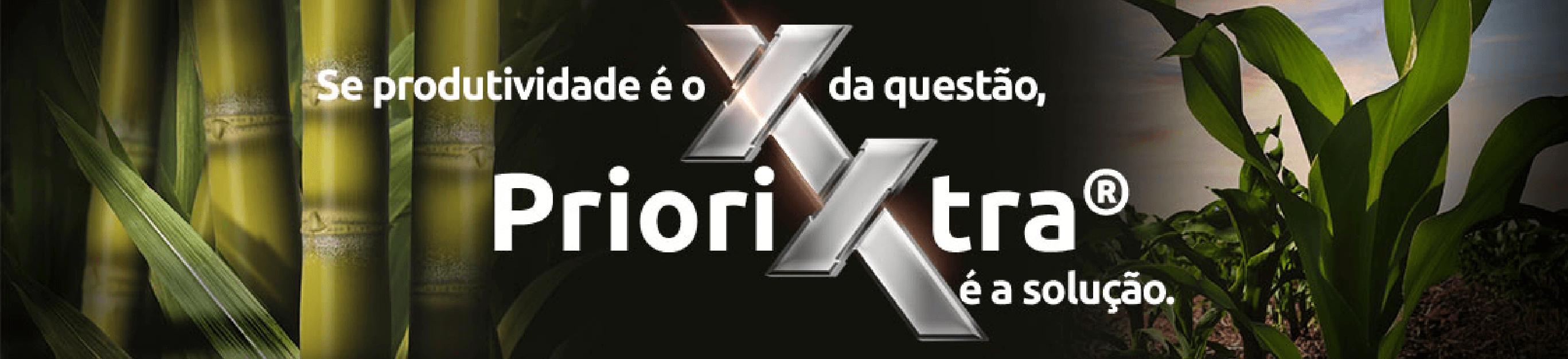 Se produtividade é o X da questão Priori Xtra é a solução.
