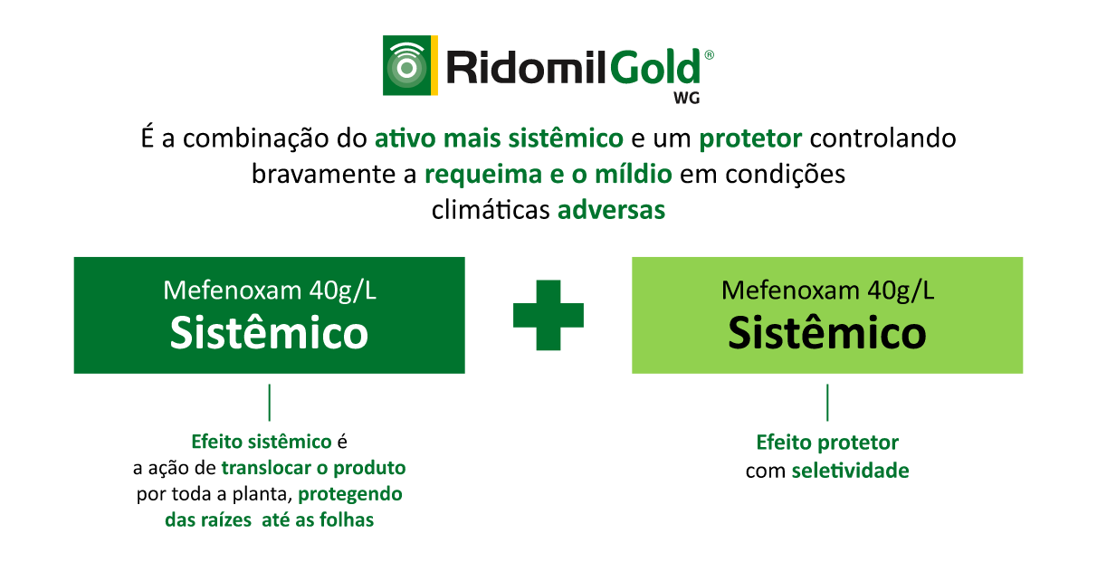 Ridomil