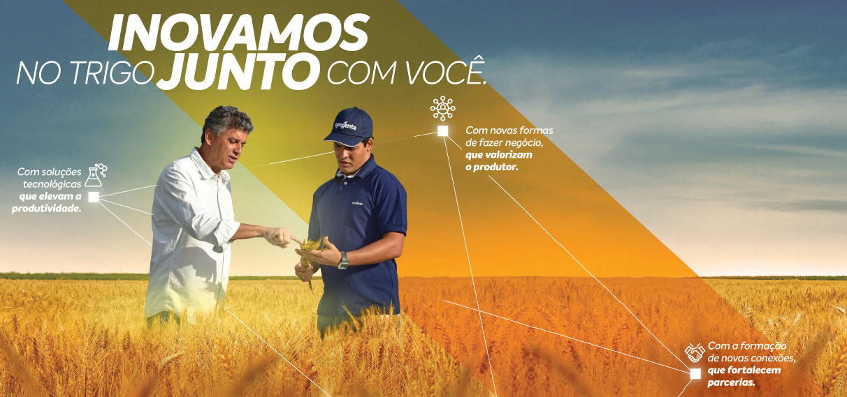 Syngenta e você conectados à produtividade do seu trigo do plantio à colheita.