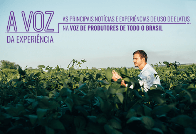 Notícias e experiências de uso de Elatus por produtores