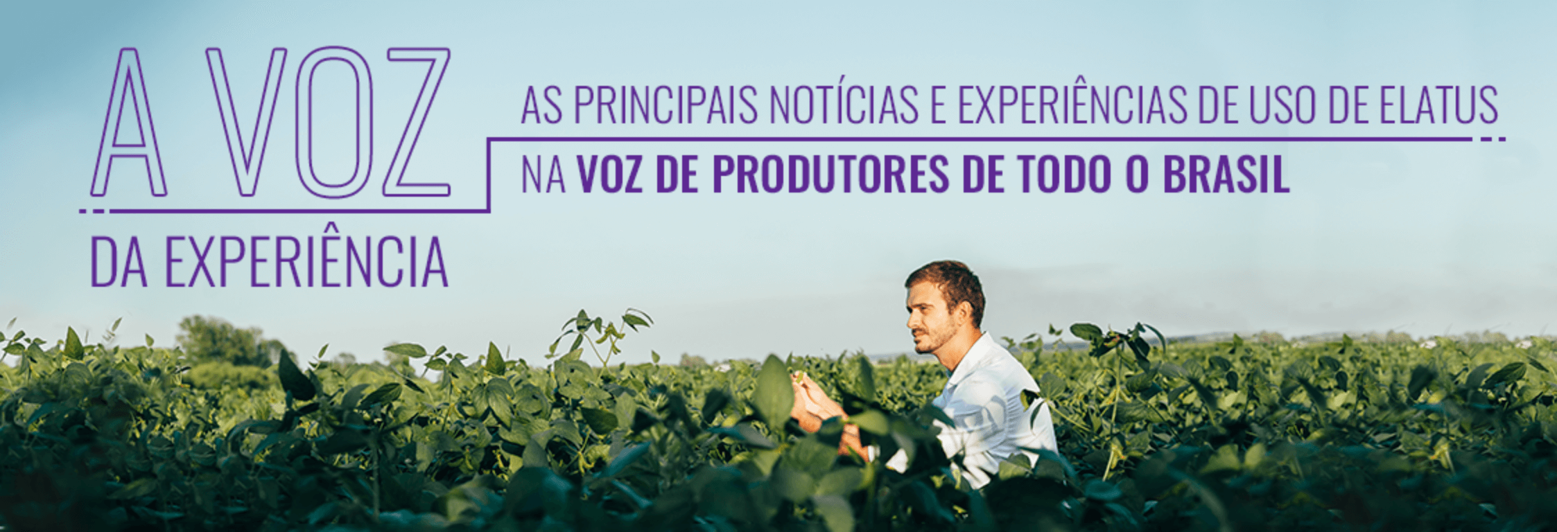 Notícias e experiências de uso de Elatus por produtores