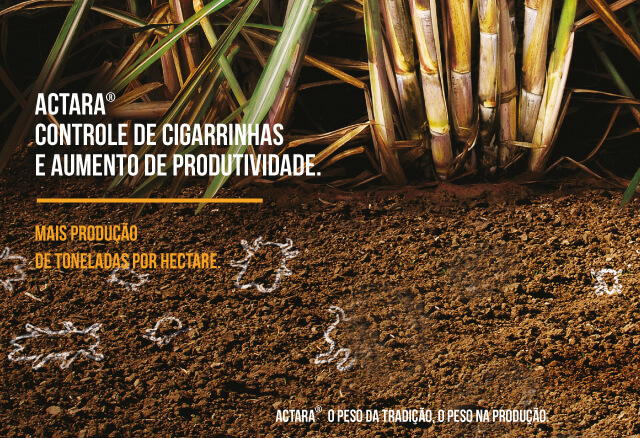 Actara, controla cigarrinhas