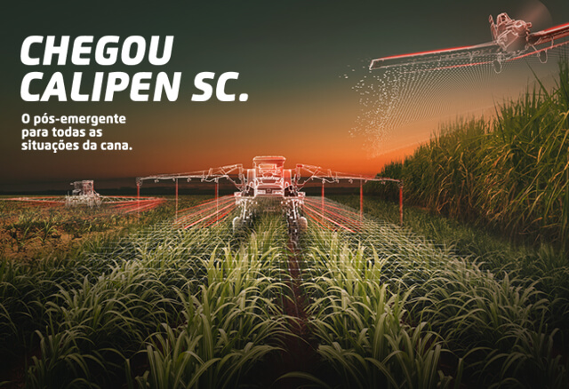 Herbicida pós-emergente Calipen SC para cana-de-açúcar