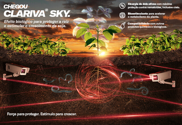 Chegou Clariva Sky. Efeito biológico para proteger a raiz e estimular o crescimento da soja.