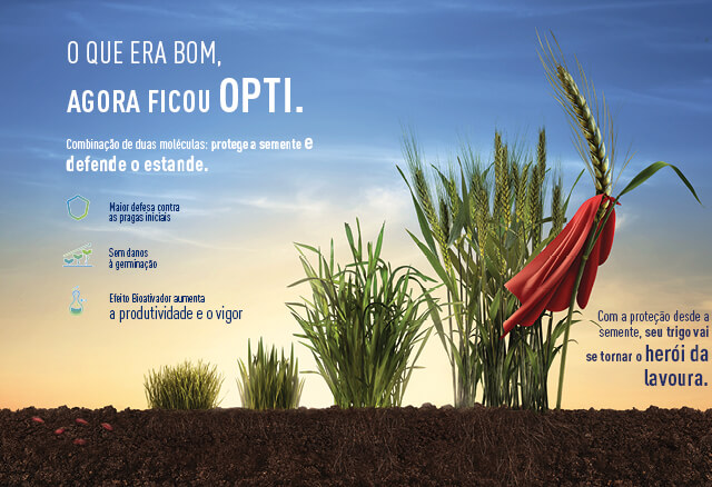 Inseticida Cruiser Opti protege a cultura de trigo desde a semente
