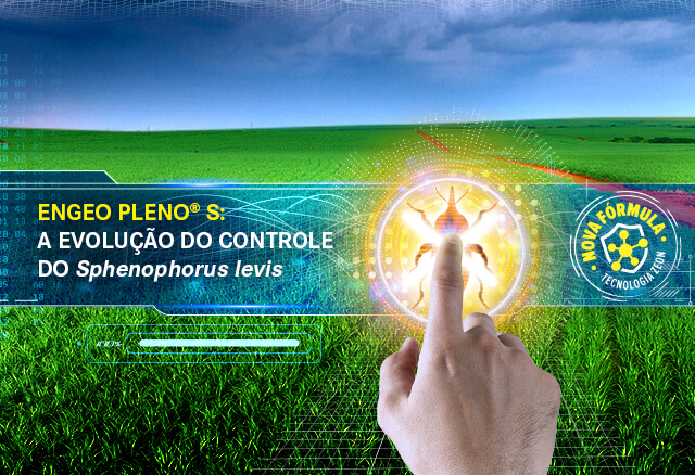 Engeo Pleno S: evolução do controle do Sphenophorus levis
