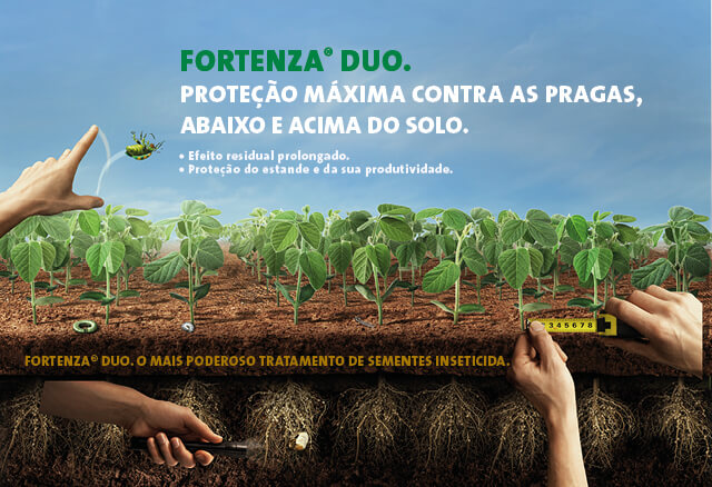 Fortenza Duo: poderoso tratamento de sementes inseticida