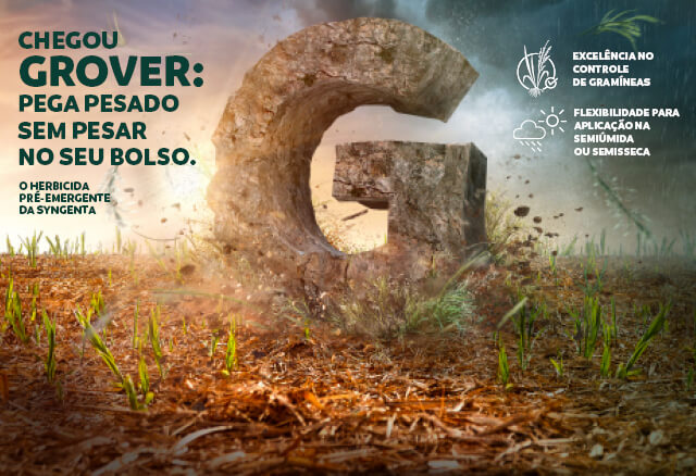 Grover é herbicida pré-emergente para cana-de-açúcar
