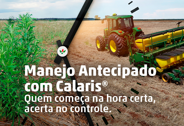 Manejo antecipado com Calaris