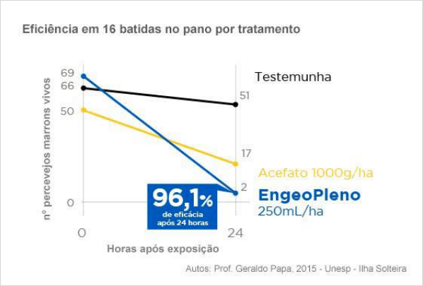 Desempenho de Engeo Pleno S. Controle de percevejo-marrom