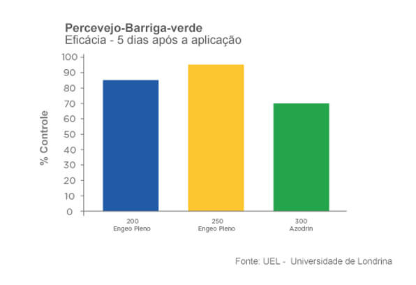 Controle de percevejo-barriga-verde com Engeo Pleno S