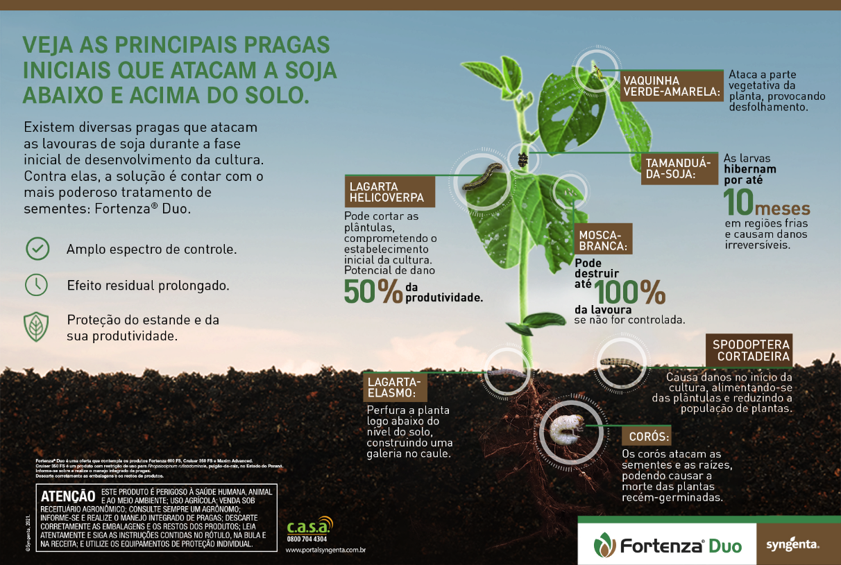 Veja as principais pragas iniciais que atacam a soja abaixo e acima do solo