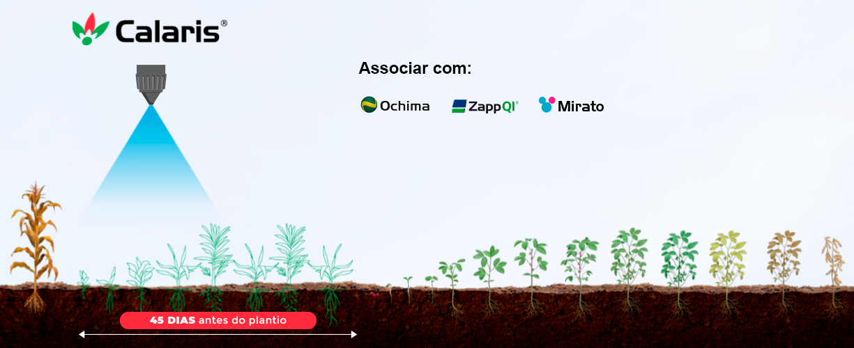 Manejo antecipado Syngenta