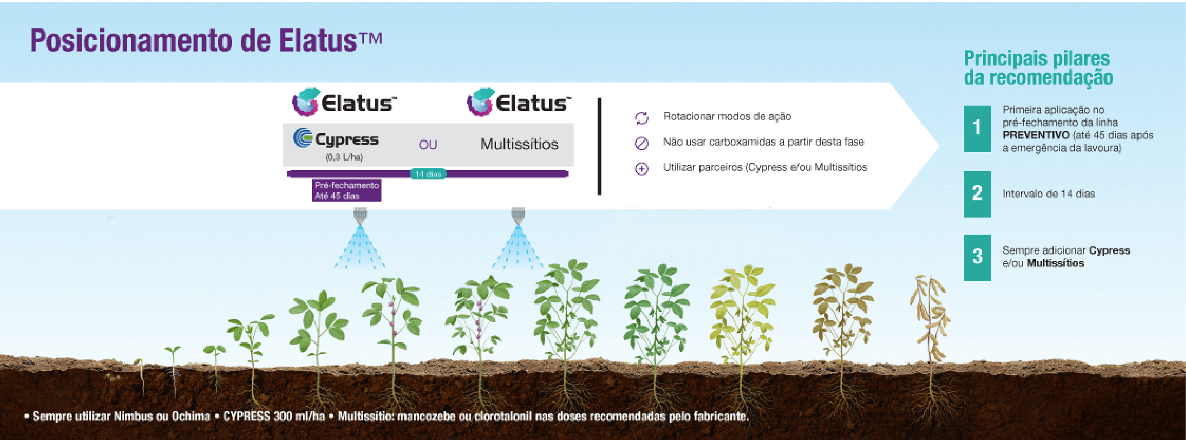 Posicionamento de Elatus na cultura de soja