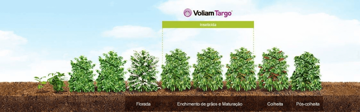 Posicionamento do produto na cultura do café.