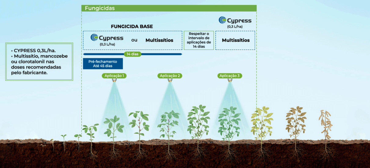 Posicionamento de Cypress na cultura de soja